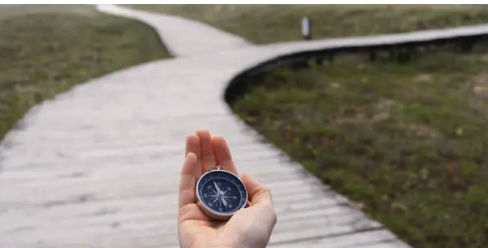 Hand holding a compass at a fork in a wooden path—choosing a clear email marketing direction
